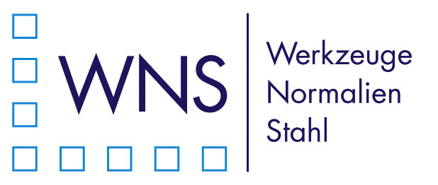 WNS Logo