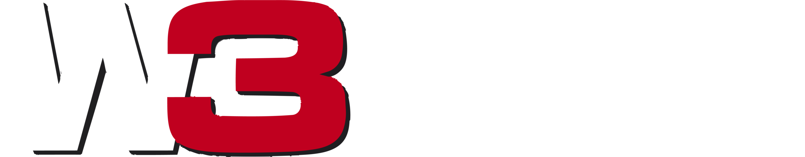 Logo W3 Faben negativ